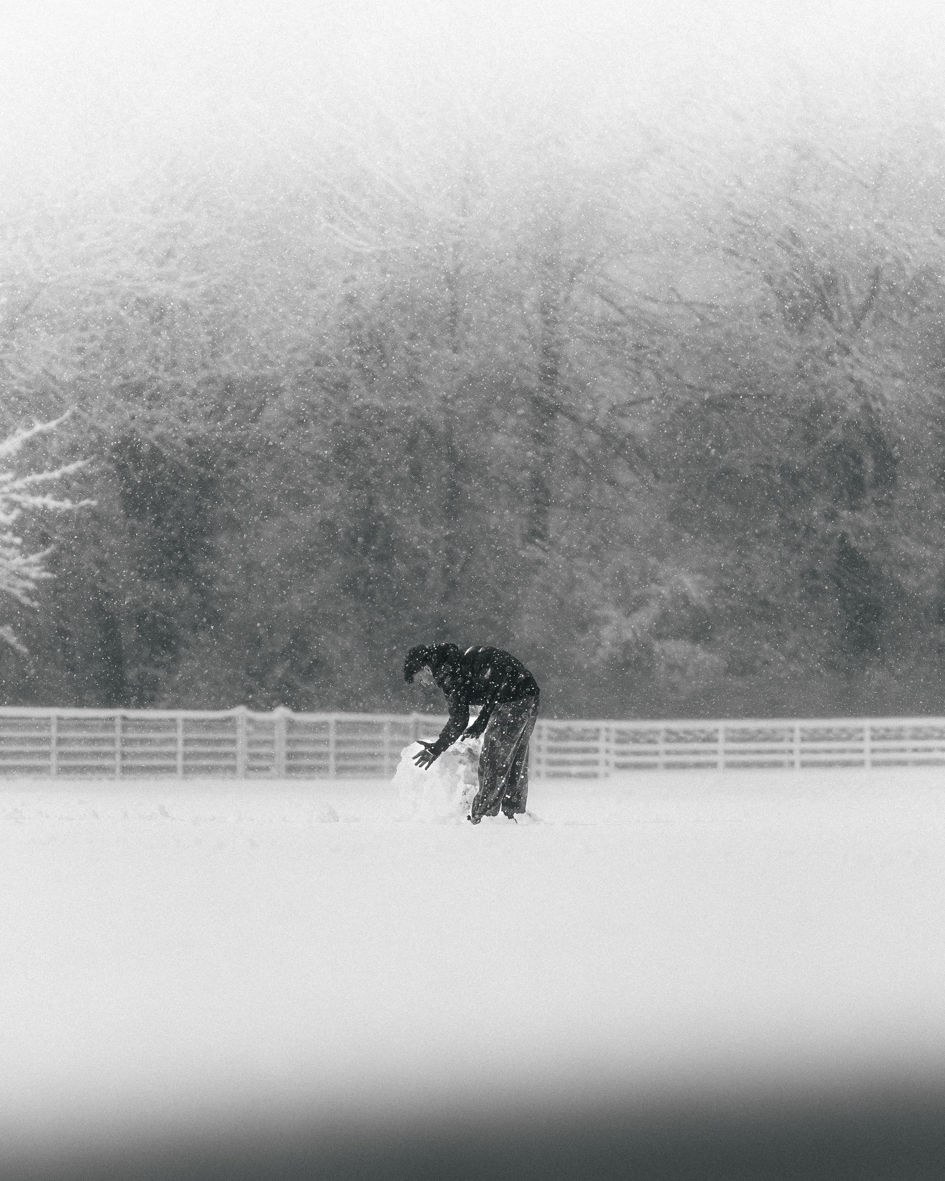 Image de diapositive