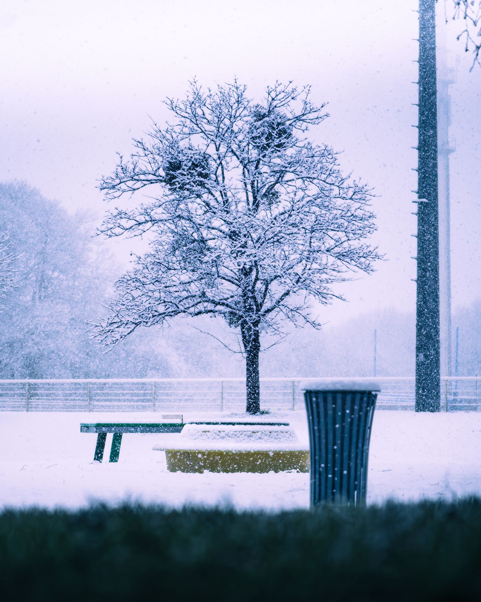 Image de diapositive